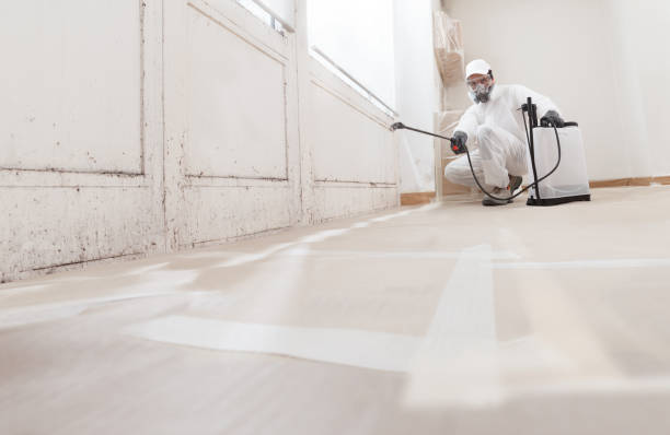 24/7 Emergency Attic Mold Removal experts in East Jordan, MI
